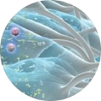 a planet with rings in it